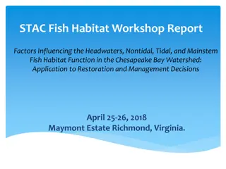 Factors Influencing Fish Habitat in Chesapeake Bay Watershed Workshop Report