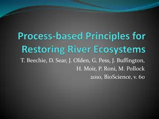 Principles and Advantages of Process-Based River Restoration