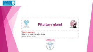 The Microscopic Structure and Function of the Pituitary Gland