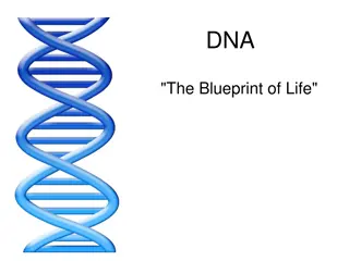 Unraveling the Story of DNA: From Discovery to Structure