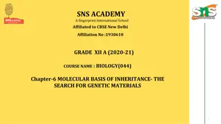 Molecular Basis of Inheritance: From Griffith's Transformation Principle to Avery's DNA Identification