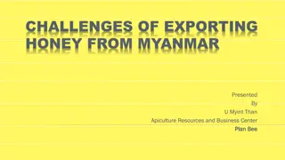 Challenges of Exporting Honey from Myanmar: Insights from U. Myint Than