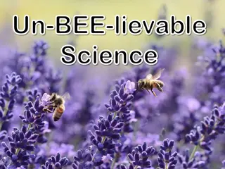 Fascinating World of Bees: Bee Facts, Importance, and Beekeeping