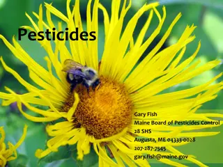 Pesticide Use and Impact on Pollinators