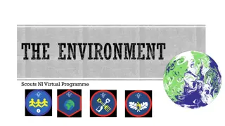 The Environment Scouts NI Virtual Programme and COP26: Taking Action for a Sustainable Future