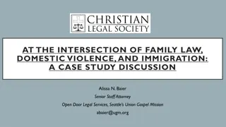 Case Study Discussion at the Intersection of Family Law, Domestic Violence, and Immigration