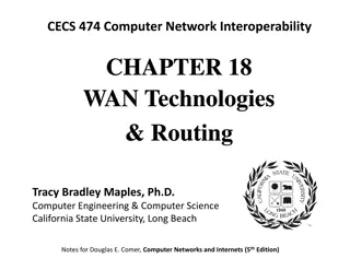 WAN Technologies and Routing in Large Networks