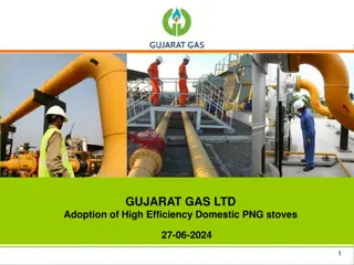 Adoption of High Efficiency PNG Stoves by Gujarat Gas Ltd