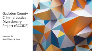 Gadsden County Criminal Justice Diversionary Project Overview