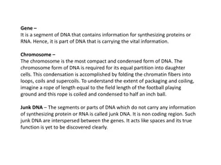 DNA, Chromosomes, and Chromatin Structure