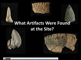 Discoveries at M-231 Site: Artifacts and Findings