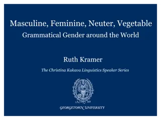 Grammatical Gender in Language Across Cultures