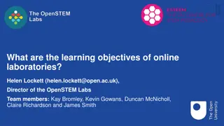 The Objectives of Online Laboratories in STEM Education