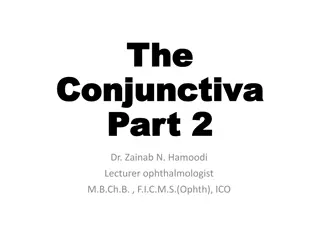 Overview of Conjunctival Diseases and Their Management