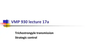 Trichostrongyle Transmission and Strategic Control