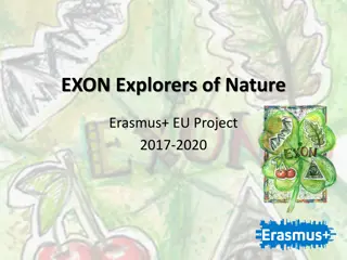 Explore Nature's Beauty with EXON: A European Project Showcase