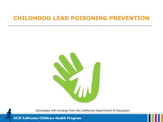 Childhood Lead Poisoning Prevention Program Overview