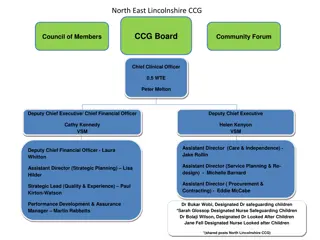 Organizational Structure and Leadership Roles in North East Lincolnshire CCG