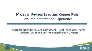 Michigan Revised Lead and Copper Rule Implementation Experience