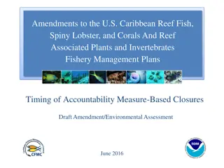 U.S. Caribbean Reef Fishery Management Plans Amendment Summary