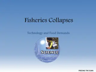 Challenges Facing Fisheries and Food Demands