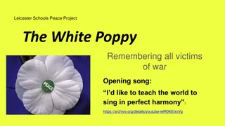 Understanding the Symbolism of the Red and White Poppies in Honouring Victims of War