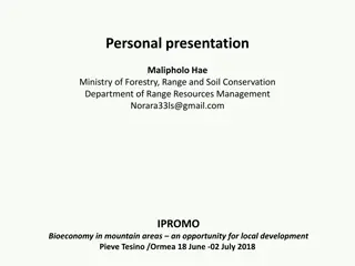 Mountain Bioeconomy: Local Development Opportunities in Forestry Conservation