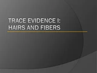 Understanding Hair and Fiber Analysis in Forensic Science