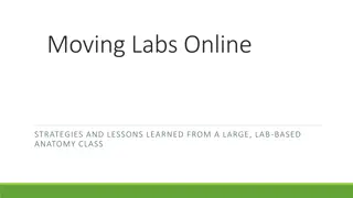 Strategies and Lessons Learned for Moving Anatomy Labs Online