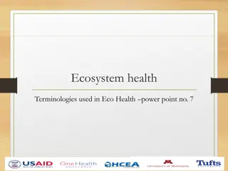 EcoHealth: Terminologies and Concepts