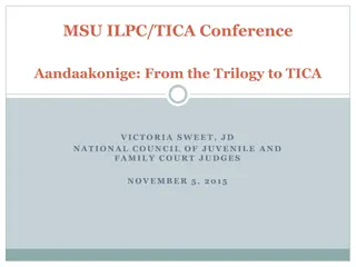 Addressing Disproportionality in Juvenile and Family Courts: Insights from TICA Conference