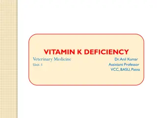 Understanding Vitamin K Deficiency in Veterinary Medicine