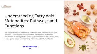 Understanding Fatty Acid Metabolites Pathways and Functions