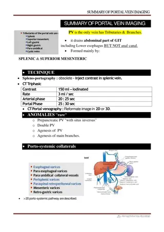 Portal Vein Imaging Techniques and Anomalies Overview