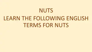 Learn English Terms for Nuts with Fun Images