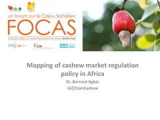 Regulation Policies for Cashew Market in Africa