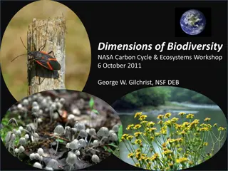 Dimensions of Biodiversity - Exploring Earth's Diverse Ecosystems