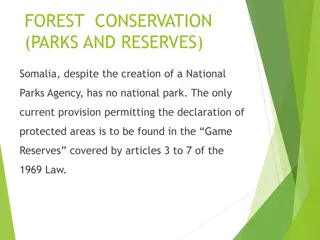 Forest Conservation in Somalia: Laws and Regulations