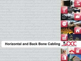 Horizontal and Backbone Cabling in Network Architecture