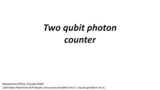 Quantum Circuit Simulations and Electromagnetic Analyses in Quantum Photonics