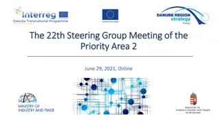 Steering Group Meeting - Priority Area 2, June 29, 2021