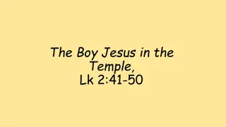 The Boy Jesus in the Temple: Lk 2:41-50