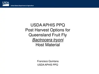 Post-Harvest Options for Queensland Fruit Fly Bactrocera tryoni Host Material