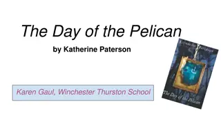 The Day of the Pelican - Educational Presentation on Kosovo