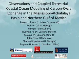 Coupled Terrestrial-Coastal Modeling of Carbon Exchange in the Gulf of Mexico