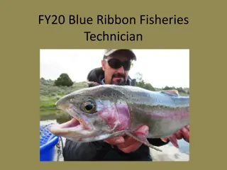 Blue Ribbon Fisheries Technician - FY20 Project Details