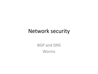 BGP and DNS Worms in Network Security