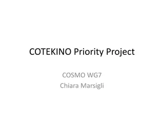 COTEKINO Priority Project Summary