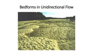 Bedforms in Unidirectional Flow: Characteristics and Formation