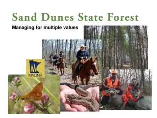 Managing for Multiple Values in Forest Conservation